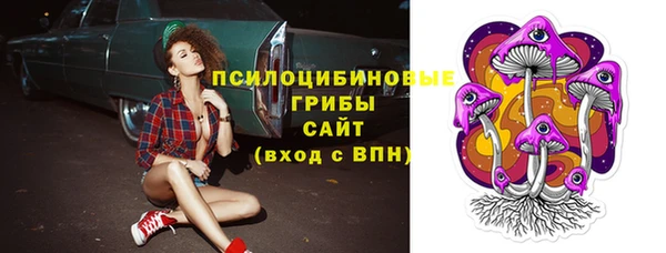 индика Бугульма