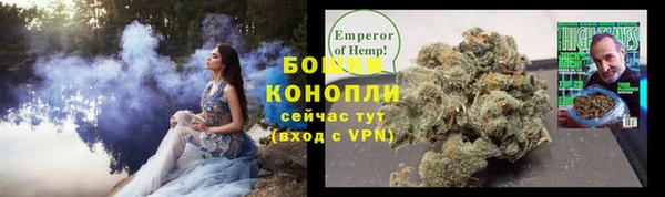 ГАЛЛЮЦИНОГЕННЫЕ ГРИБЫ Наволоки