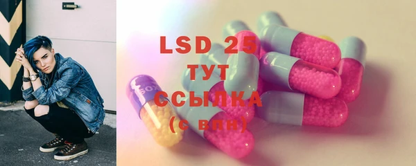 индика Бугульма