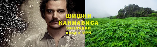 индика Бугульма