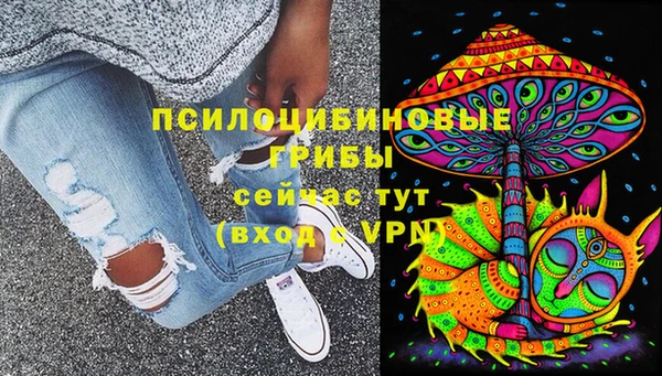 спиды Михайлов