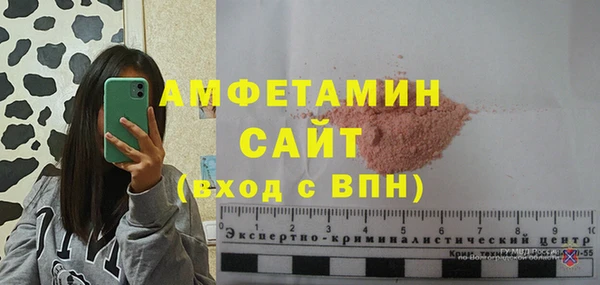 индика Бугульма