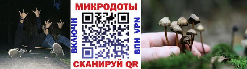Псилоцибиновые грибы прущие грибы купить наркотики сайты МЕГА зеркало Дигора